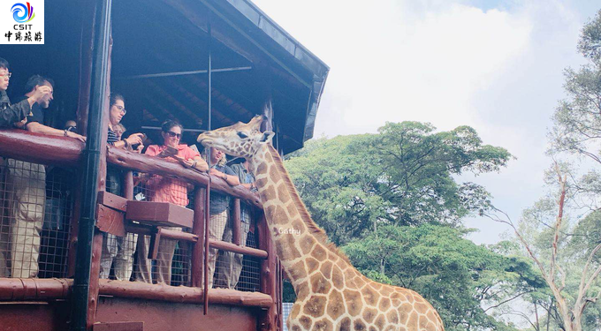 【肯尼亚游记】肯尼亚 | 吹啊吹啊，我的骄傲放纵