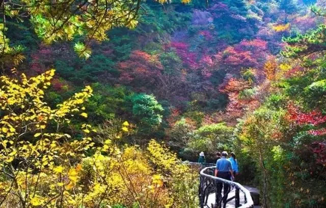 江西三清山图