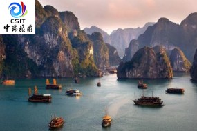 越南豪奢五星游轮6日游