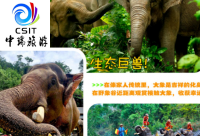 云南-美吖版纳-版纳直飞5日游