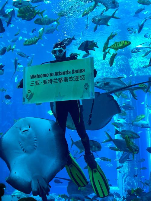 亚特-失落的水族馆