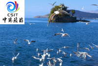 丽江大理香格里拉双飞6天游