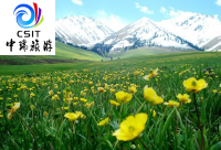 纵横南北疆双卧16日游