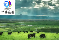 898草原-乌兰布统免费升级2+1商务头等舱纯玩汽车三日游QZ