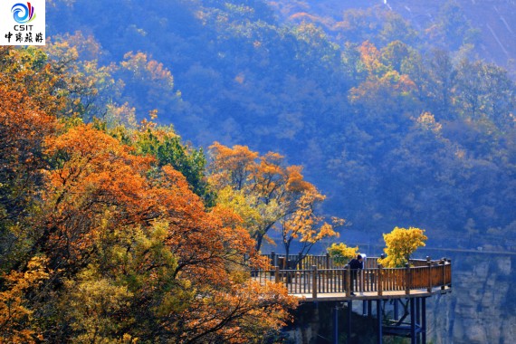 秋趣宝泉1日游TSH