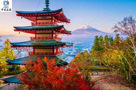 枫情日本石家庄直飞东京本州深度8日游