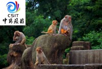 奇遇花果山连岛 羊山岛二日游
