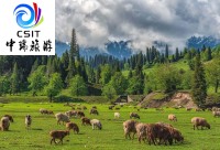 新疆-独库版昭苏【天马牧歌行】双飞8日游