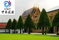 7月24号新马