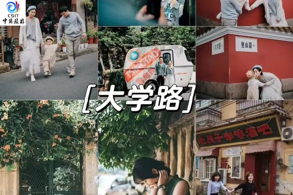 邯郸出发｜山东·青岛★汽车跟团｜3日游｜【顶级青岛】含船游大海+极地世界